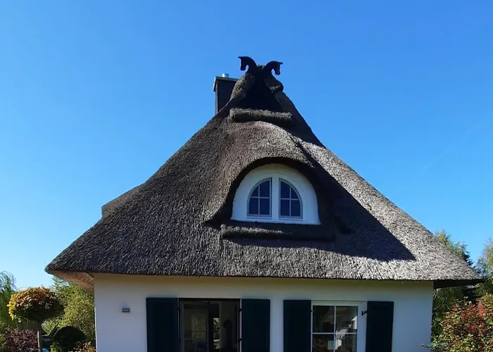 Ferienhaus Ostseeflair Am Schwarzen Busch